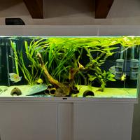 Acquario emotion pro 120