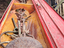 Immagine 3