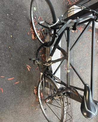 Bici uomo + lucchetto