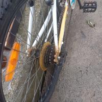 Montain bike 24 ragazzo