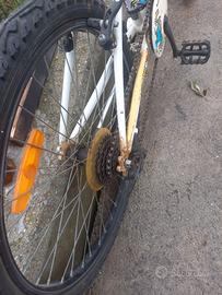 Montain bike 24 ragazzo