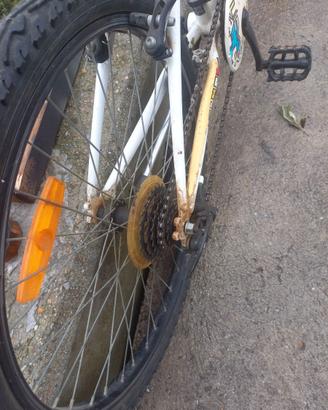 Montain bike 24 ragazzo