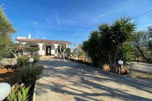 CASA INDIPENDENTE A ALLISTE