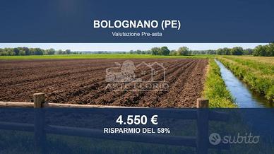 Immobile in asta di 21620 m² a Bolognano