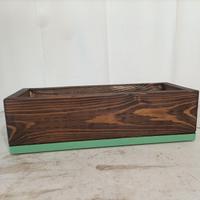 Vaschetta Abete Nordica 20 mm per piante