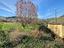 Immagine 29