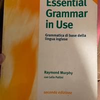 Essential grammar in use