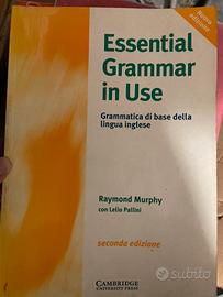 Essential grammar in use