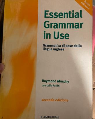 Essential grammar in use