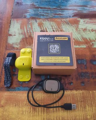 kippy GPS cane