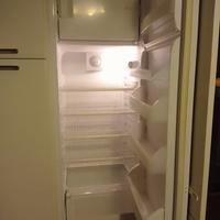 FRIGORIFERO DA INCASSO REX