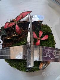 terrario chiuso naturale 