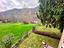 Immagine 18