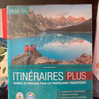 Libro di francese itineraires plus