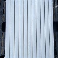 Termosifone in ghisa