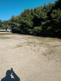 Terreno piazzale