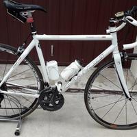 Bici Grandis carbonio