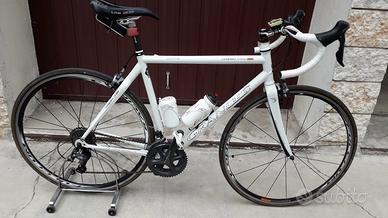 Bici Grandis carbonio