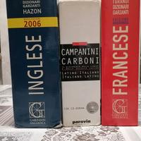 dizionario di lingua straniera 