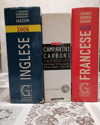 dizionario di lingua straniera 