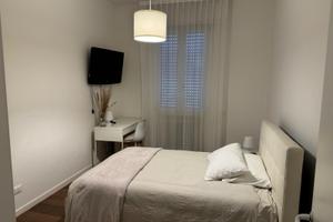 Stanza singola bologna