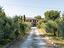 Immagine 26