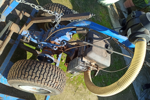 Scopatrice per olive