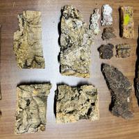 Fornitura Presepe in Sughero e Legno veri