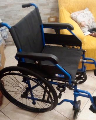 sedia a rotelle 
