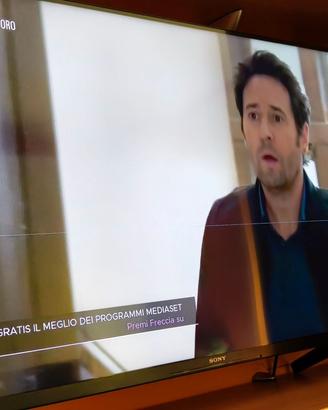 Sony 43X85JP