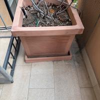 Vaso per piante 45 cm