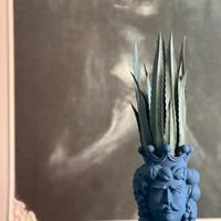 Testa di moro alta 33cm blu notte opaco