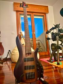 Basso IBANEZ SR505E 5 corde (serie SDGR)