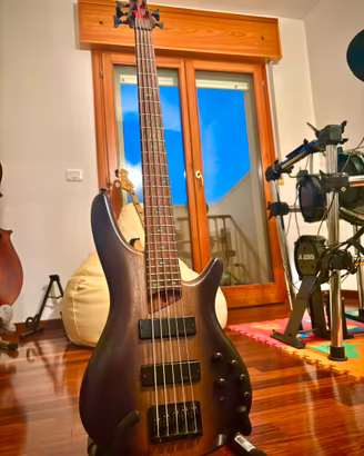 Basso IBANEZ SR505E 5 corde (serie SDGR)