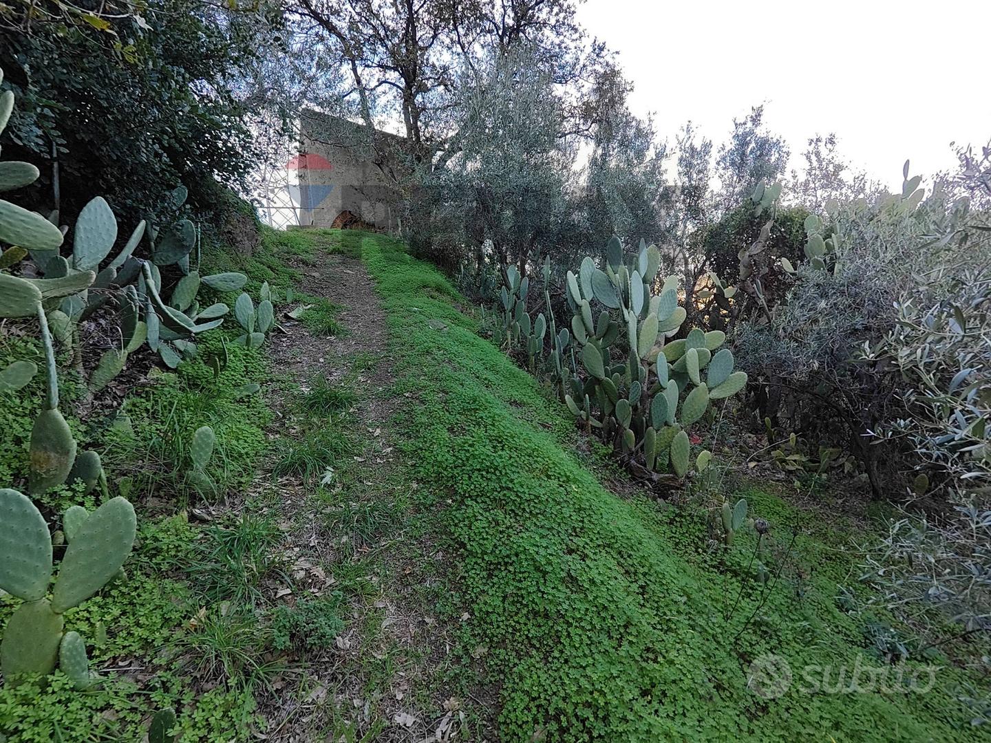 Terreno - Barcellona Pozzo di Gotto - Vista 4
