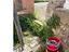 Immagine 12
