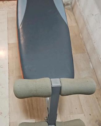 Panca domyos palestra