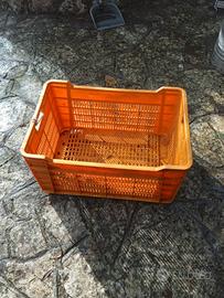 cassa di plastica l'Angolo del vintage fasano via 