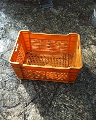 cassa di plastica l'Angolo del vintage fasano via 