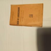 :LUCIA DI LAMERMOOR