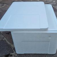 Box termico in polistirolo