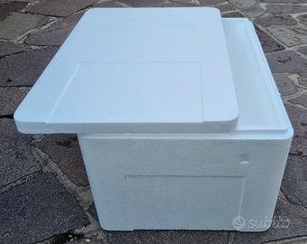 Box termico in polistirolo