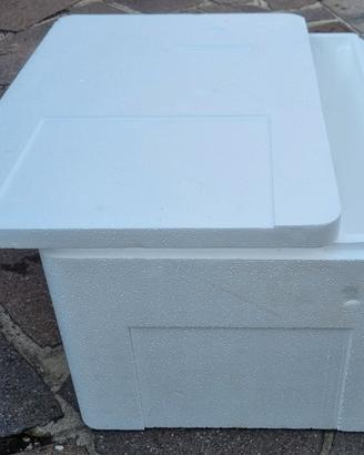 Box termico in polistirolo