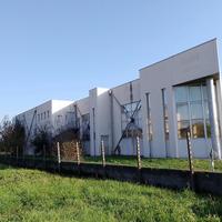 Capannone Industriale Castelmassa [RO2881VCG]