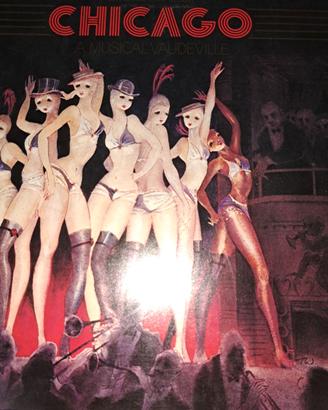 Dischi Vinile 33 giri