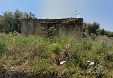 Terreno con uliveto e 2 ruderi vista mare