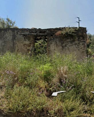 Terreno con uliveto e 2 ruderi vista mare