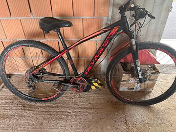 Bici Olympia