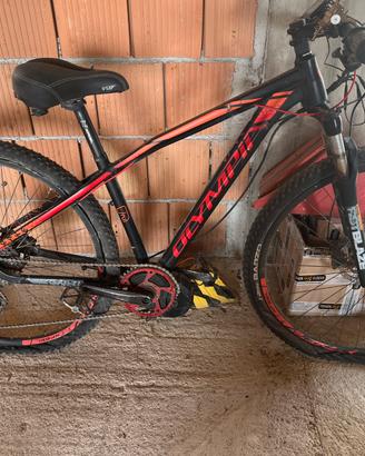 Bici Olympia