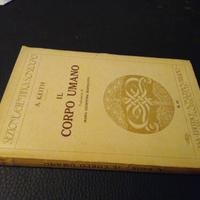 Il corpo umano, Keith, Sonzogno